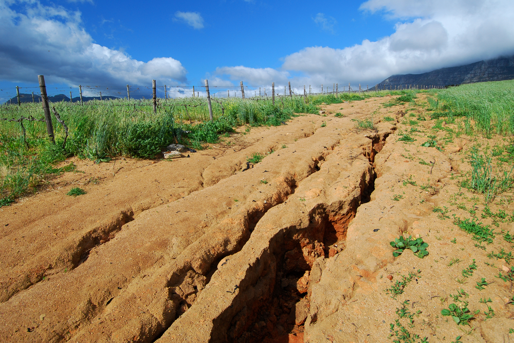 erosion des sols agriculture